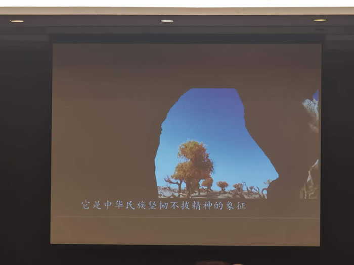 綿陽中旅行假日旅行社舉行胡楊林、南疆專列推薦會