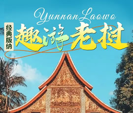 【趣游老撾 · 經(jīng)典版納】—昆明、普洱、西雙版納、磨丁、瑯勃拉邦四動8日游